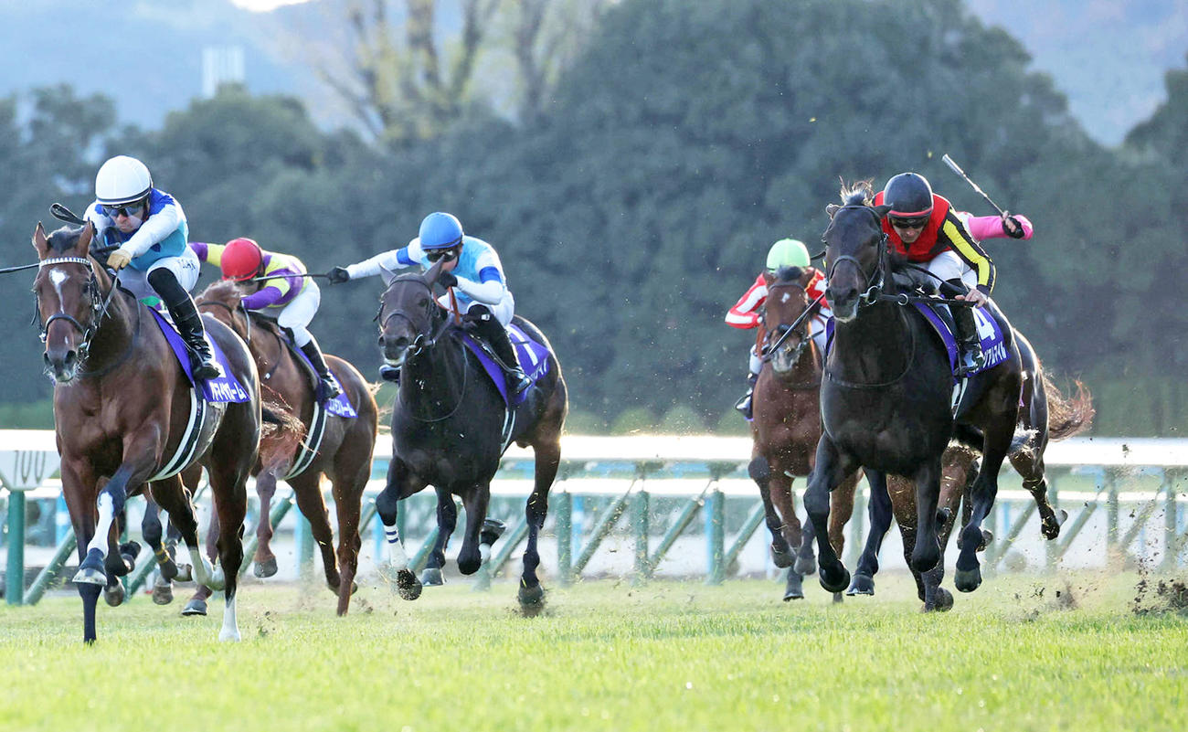 朝日杯FS2着のミュージアムマイル（右）。左は勝ったアドマイヤズーム