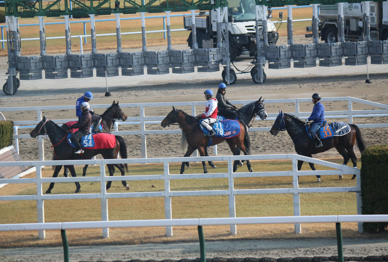 24日朝、小倉競馬場のスクーリングの風景