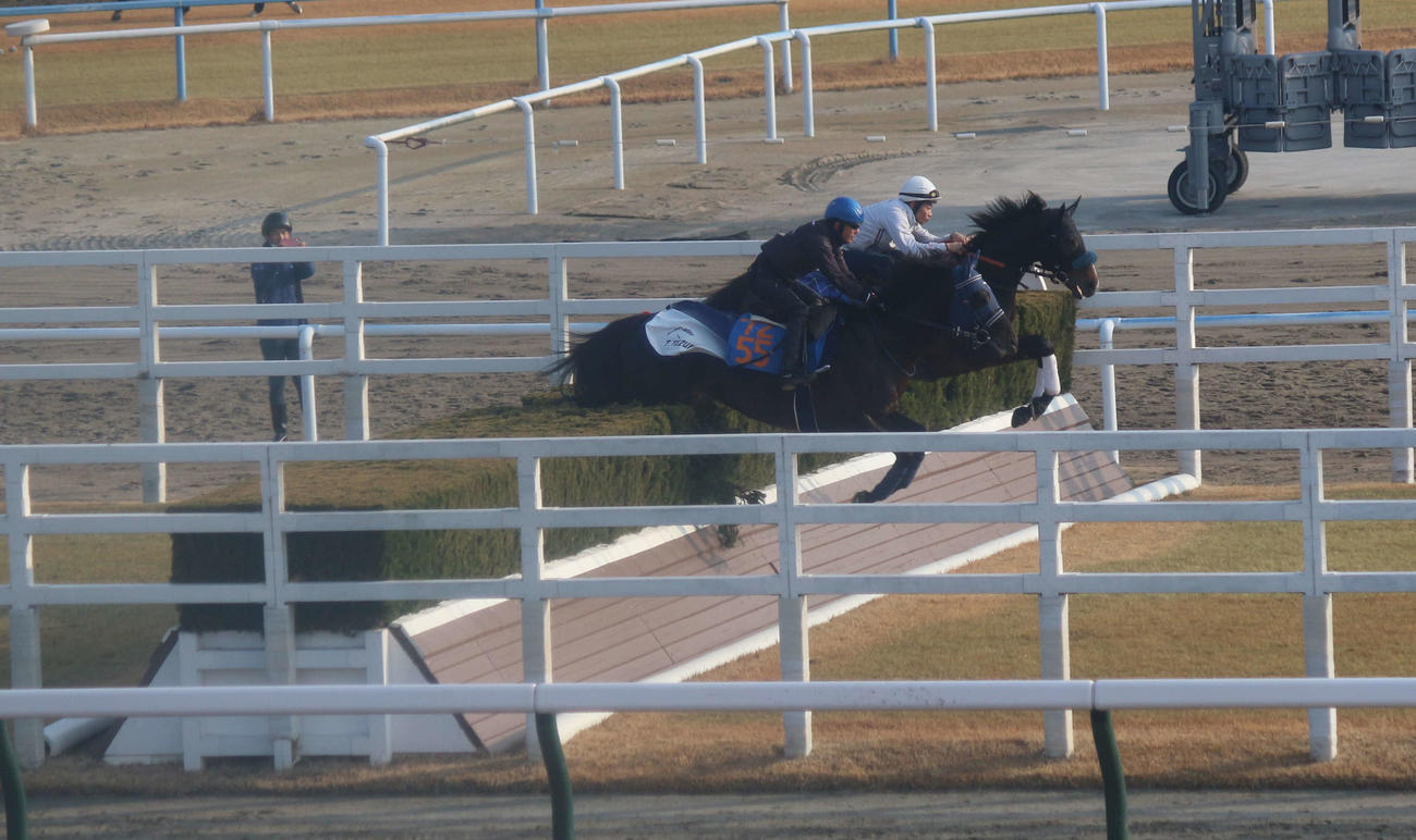 24日朝、小倉競馬場のスクーリングの風景