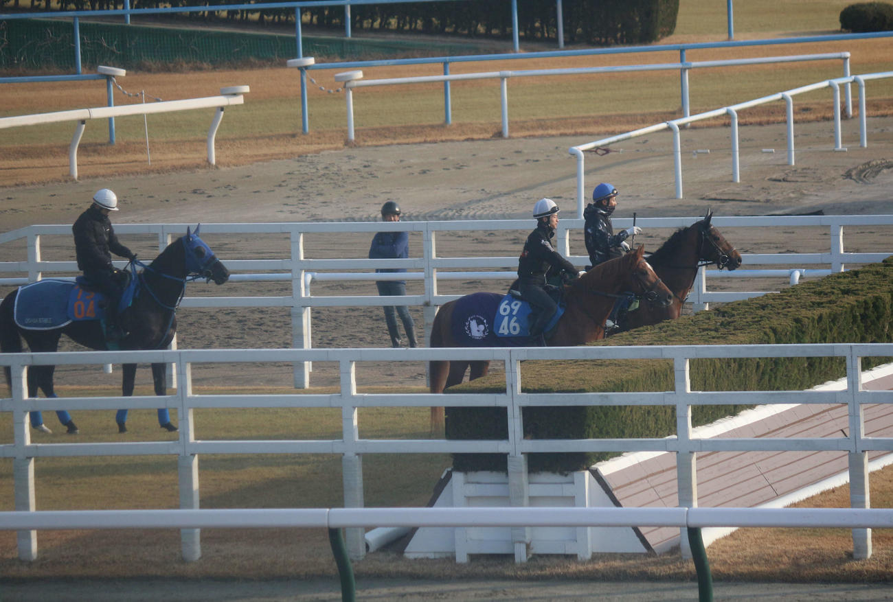 24日朝、小倉競馬場のスクーリングの風景