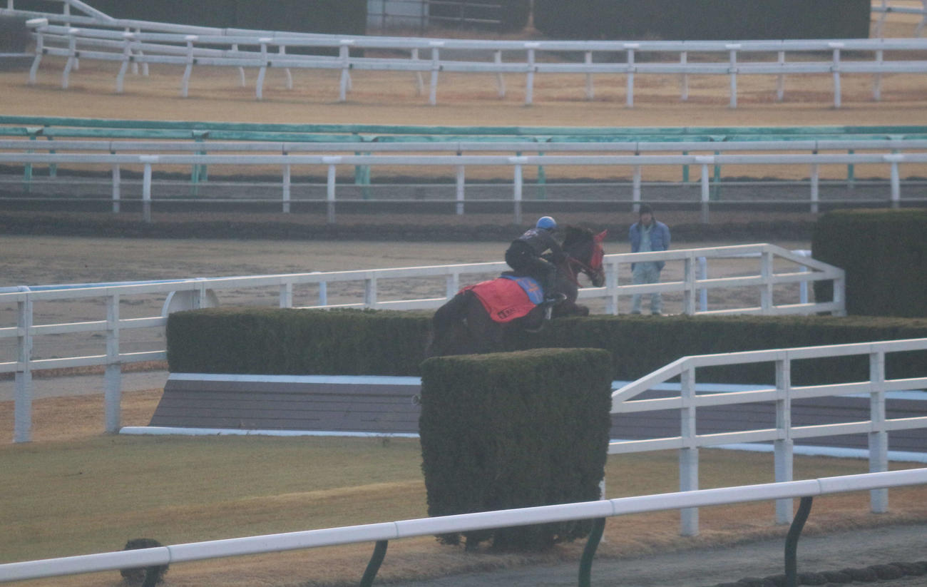 24日朝、スクーリングで障害を飛越するトラファルガー（26日の小倉4R出走）と石神深騎手