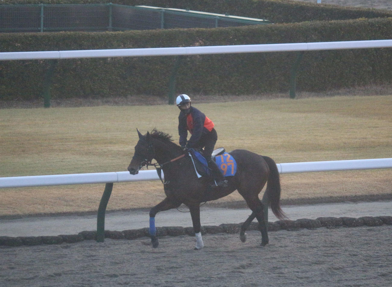 24日朝、調教するトーセンオリジン（25日の小倉5R出走）と上野翔騎手
