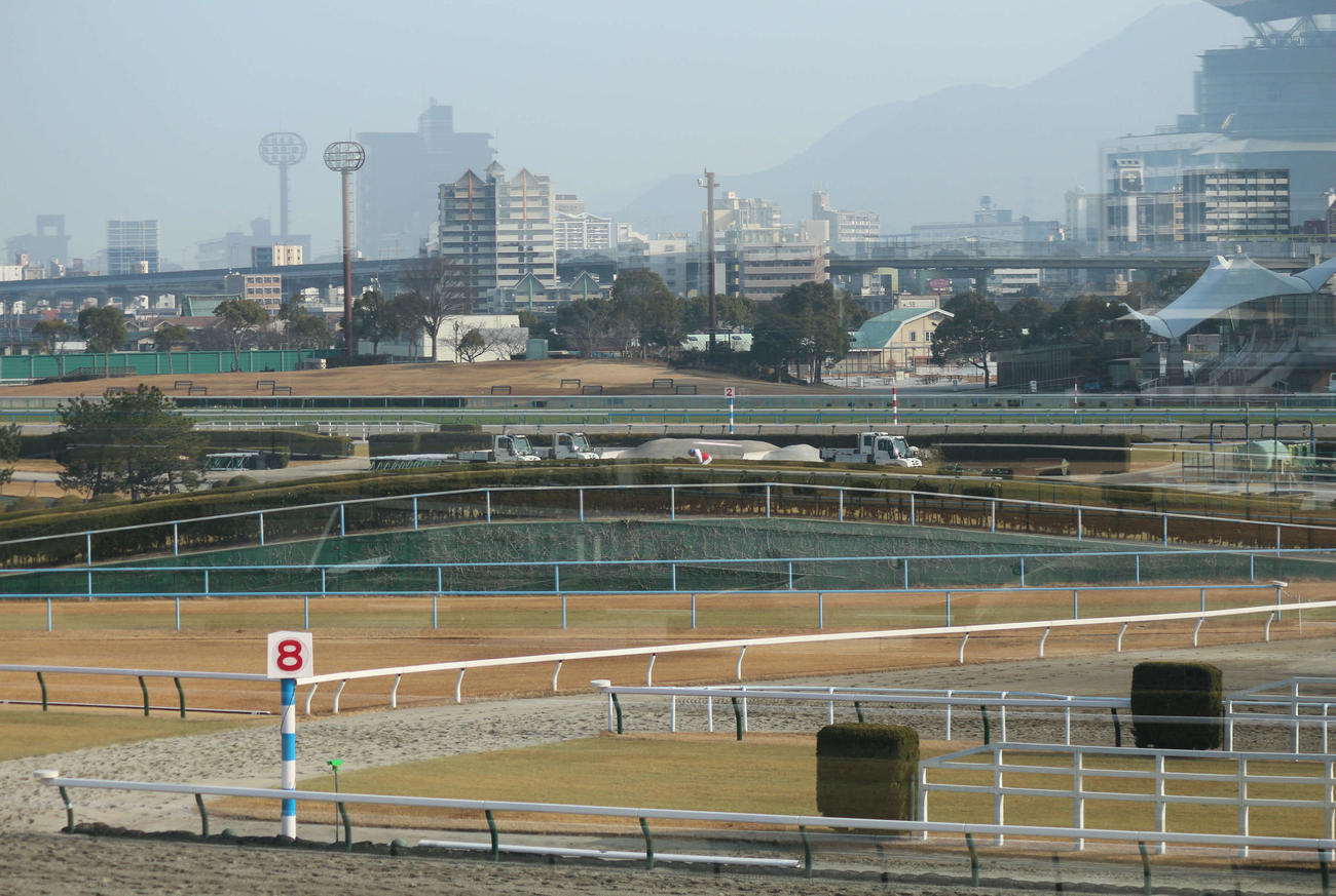 24日朝、障害競走のスクーリングで、小倉競馬場のたすき部分にあるバンケットを駆け抜ける人馬