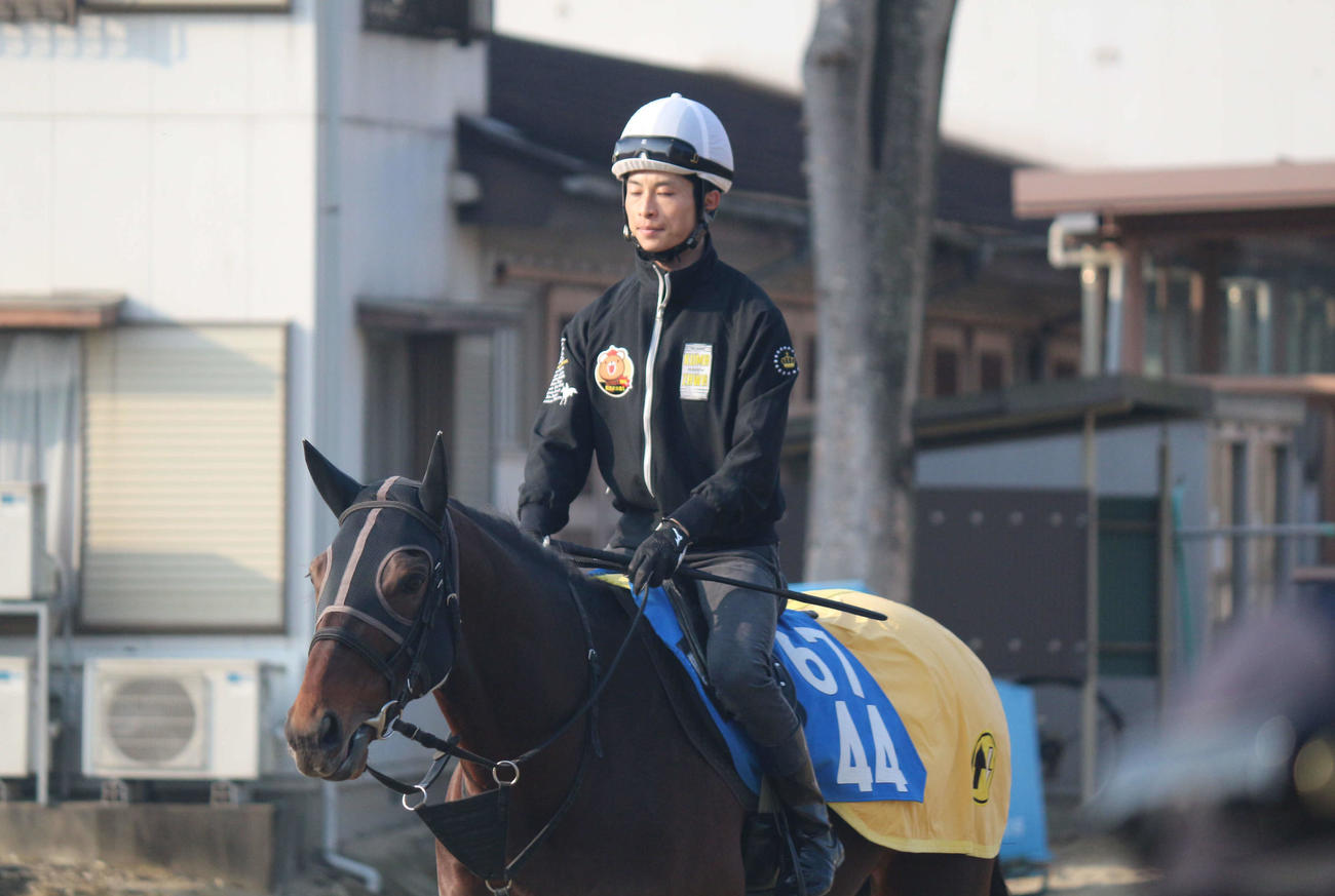 24日朝、馬場に向かうオオキニ（25日の小倉5R出走）と森一馬騎手