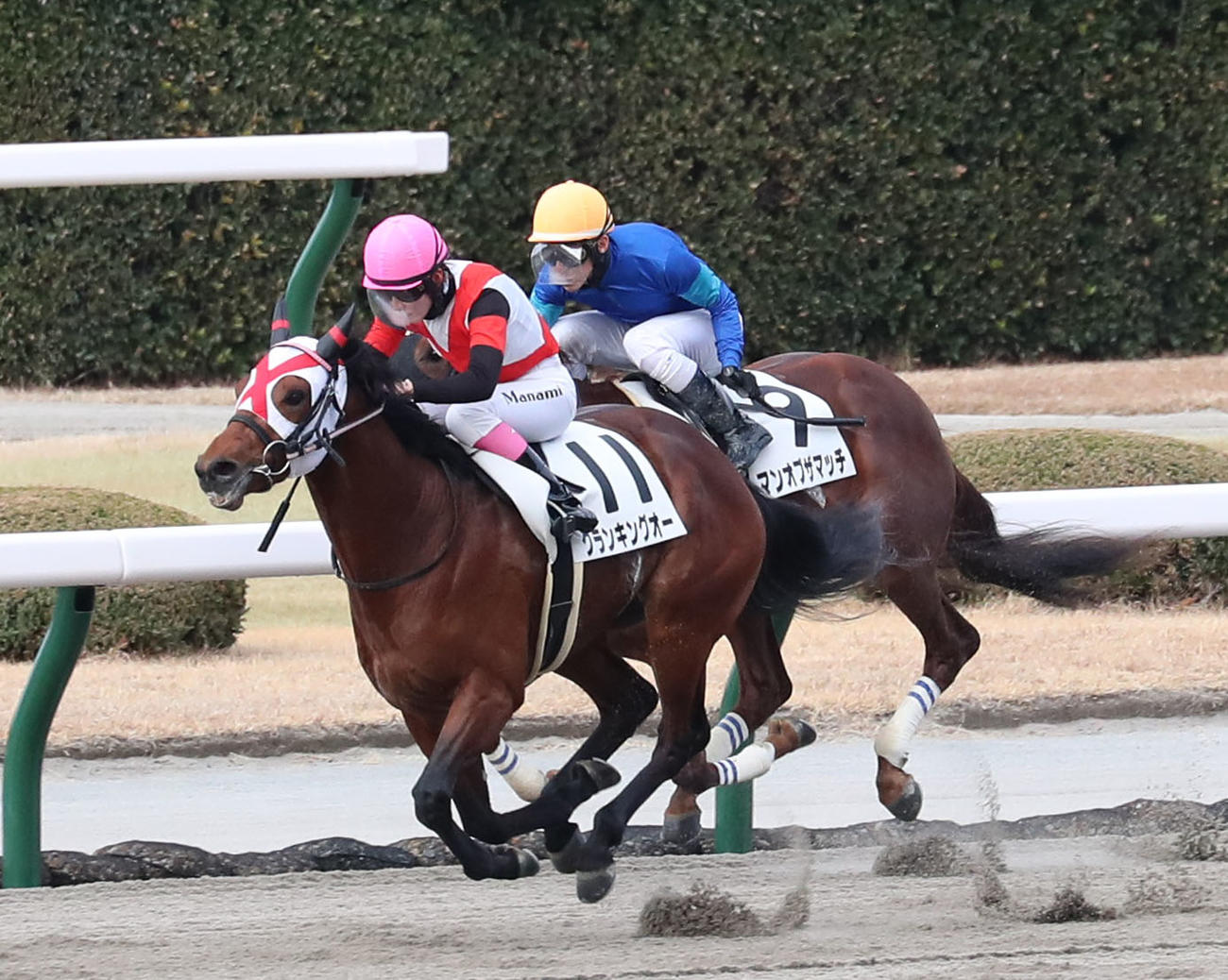 小倉1Rを制したグランキングオーと永島まなみ騎手（左）（撮影・梅根麻紀）