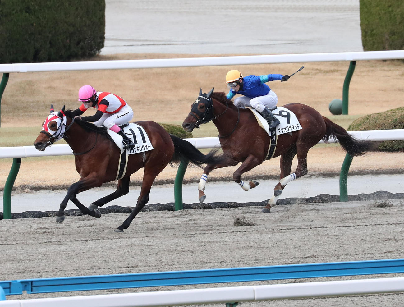 小倉1Rを制したグランキングオーと永島まなみ騎手（左）（撮影・梅根麻紀）