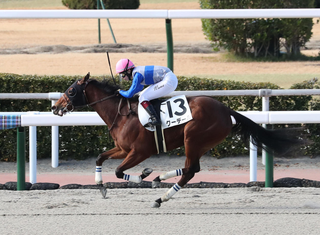 小倉3Rを制したクーデールと河原田騎手（撮影・梅根麻紀）