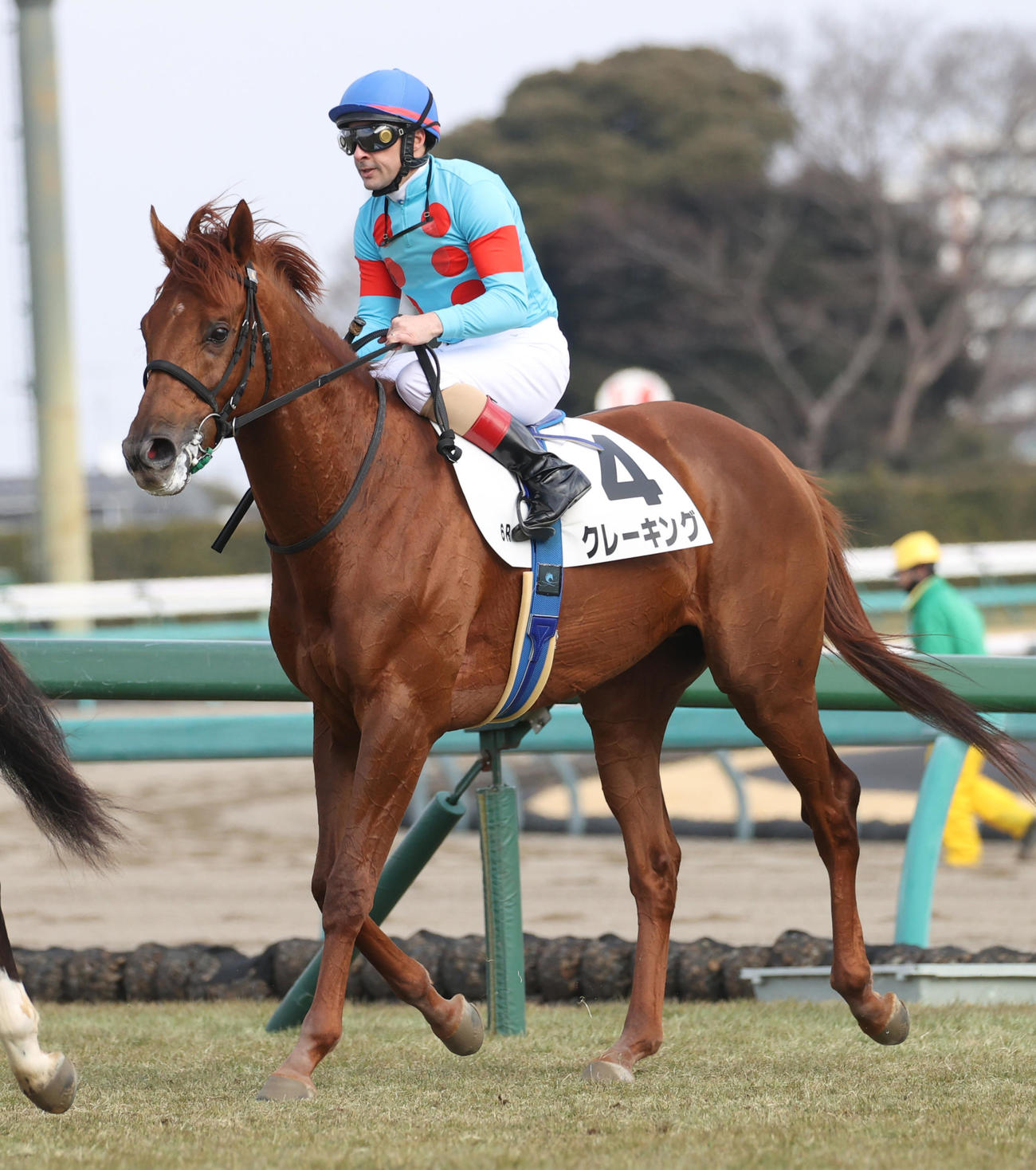 中山6Rを制したクレーキングとクリストフ・ルメール騎手（撮影・柴田隆二）
