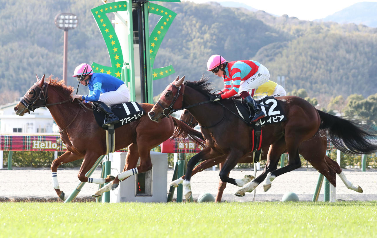 11番アブキールベイと岩田騎手はゴール前を逃げ切って萌黄賞を制す（撮影・梅根麻紀）