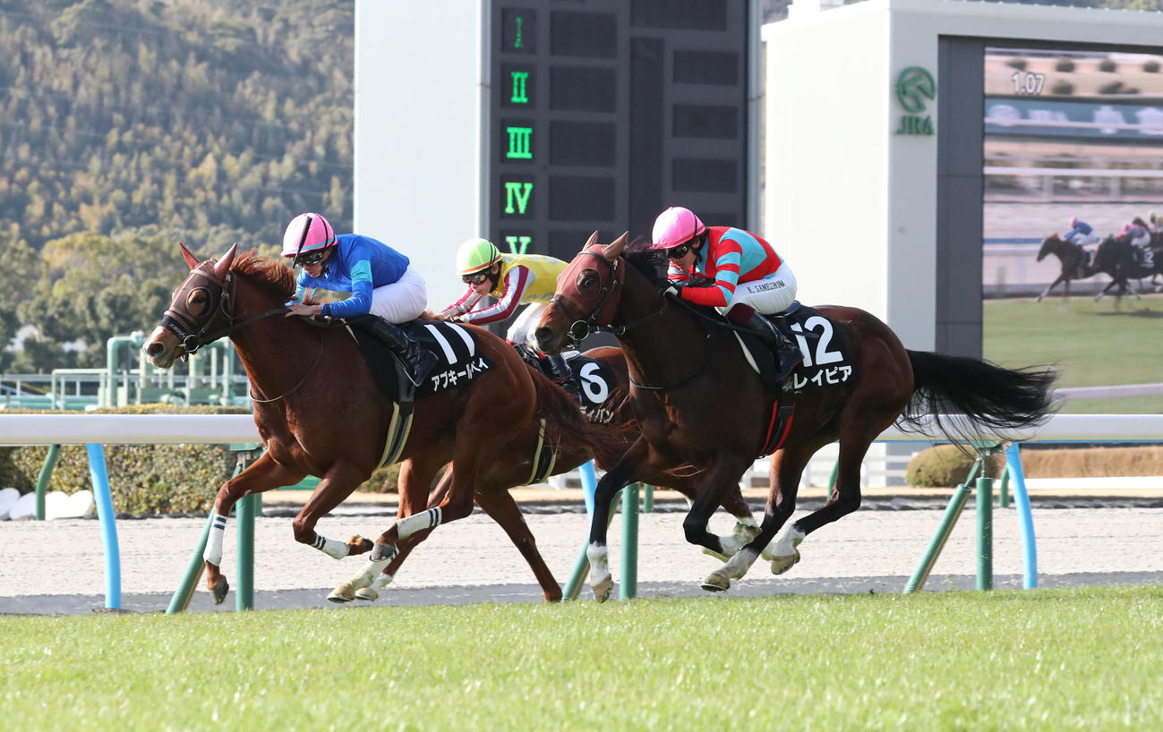 11番アブキールベイと岩田騎手はゴール前を逃げ切って萌黄賞を制す（撮影・梅根麻紀）