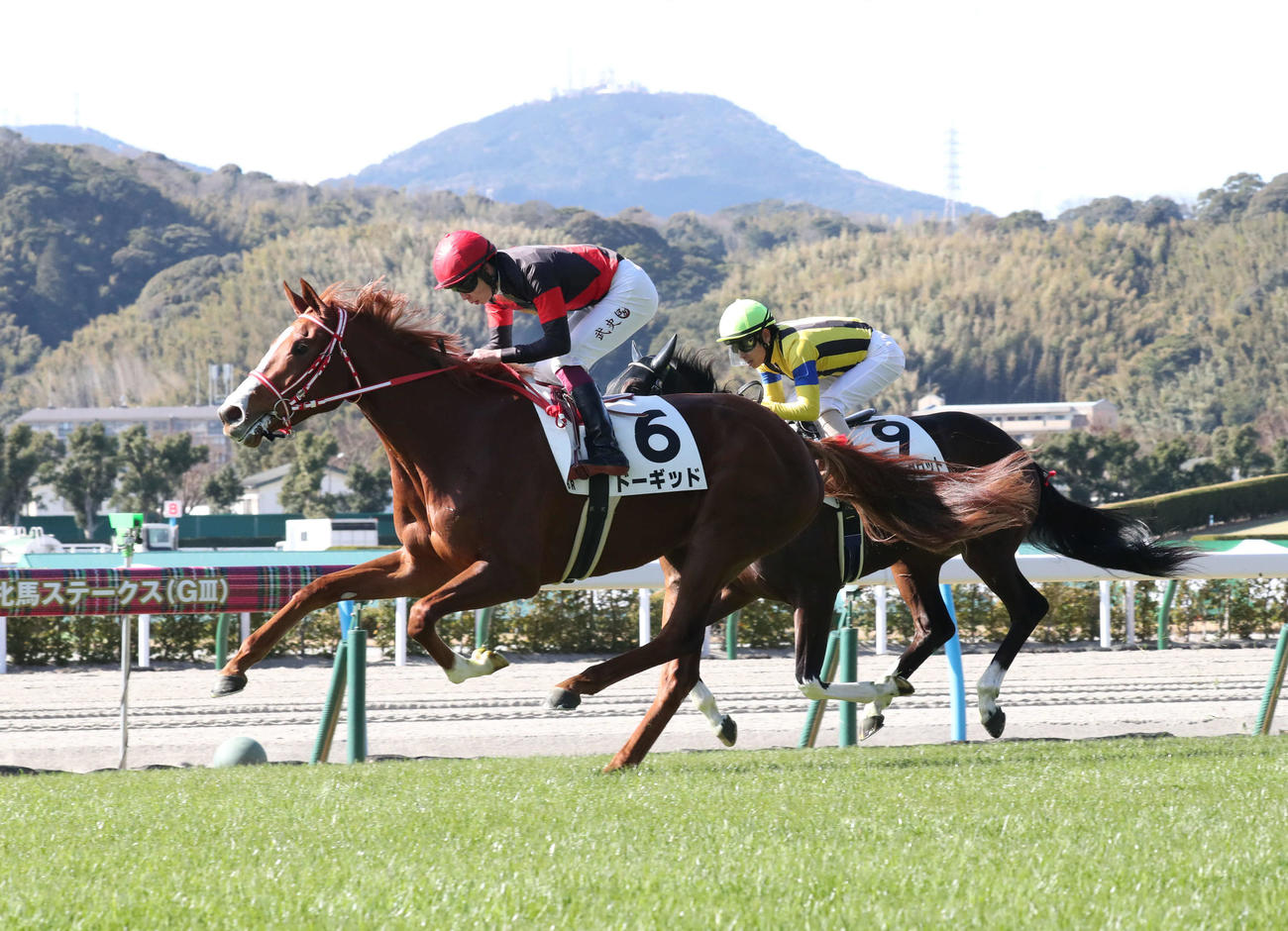 小倉6R、直線で抜け出し新馬戦を勝利したドーギッドと横山武騎手（撮影・梅根麻紀）