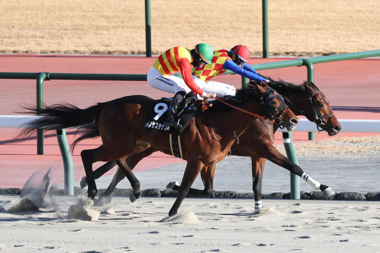 ハギノサステナブル（手前）との接戦を制して瀬戸Sを勝利したテーオーパスワード（撮影・白石智彦）