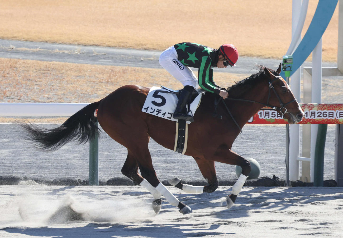 中京4R、直線抜け出して新馬戦を制したインディゴ（撮影・白石智彦）