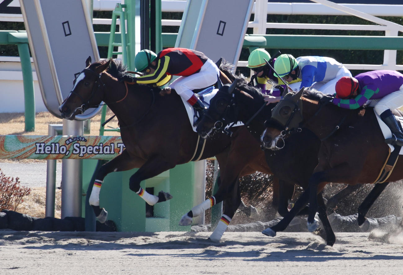 中山2R、1着のマーキュリーダイム（左）（撮影・柴田隆二）