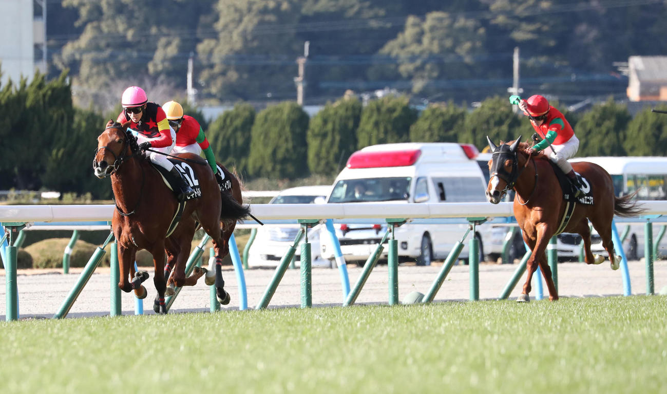 12番セキトバイーストと藤岡騎手は直線を逃げ切って壇之浦Sを制す（撮影・梅根麻紀）