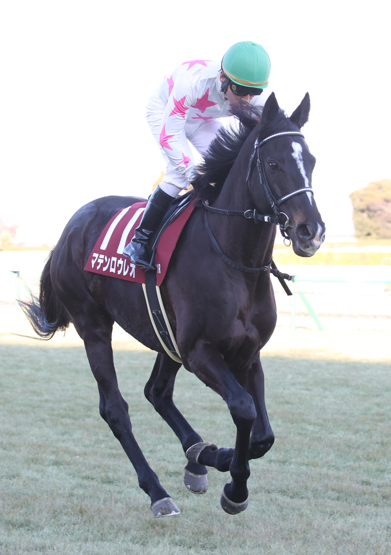 AJCCで2着のマテンロウレオと横山典騎手（撮影・柴田隆二）