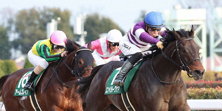 根岸Sを制したエンペラーワケアと川田将雅騎手＝2024年1月28日、東京競馬場
