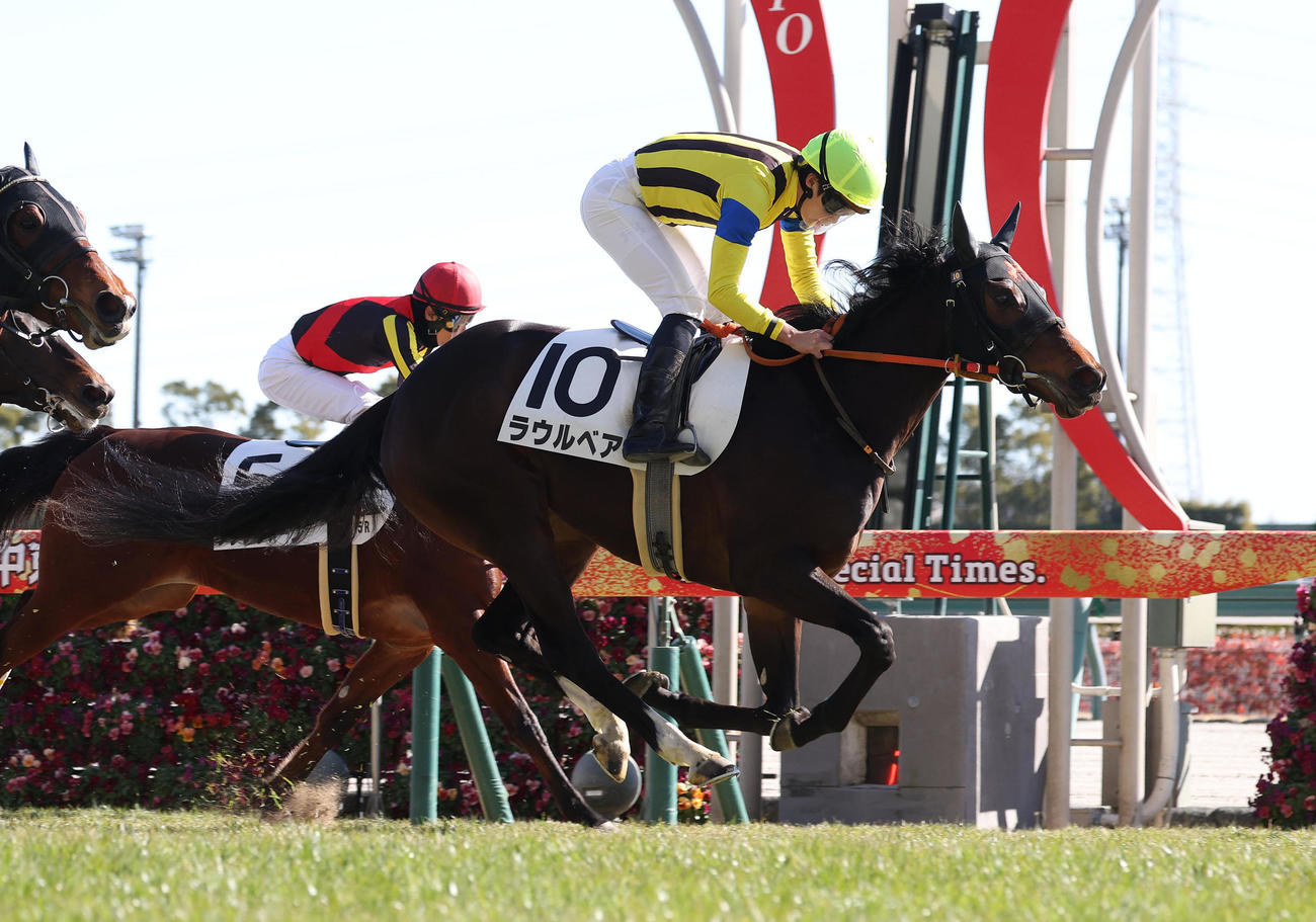 中京5R、直線外から伸びて新馬戦を制したラウルベア（撮影・白石智彦）