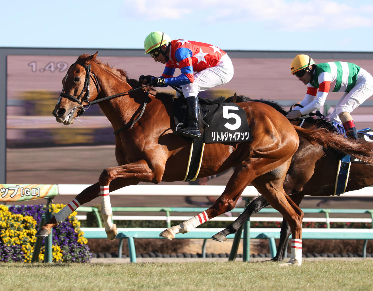 中山9R、若竹賞を制したリトルジャイアンツと横山典騎手（撮影・柴田隆二）