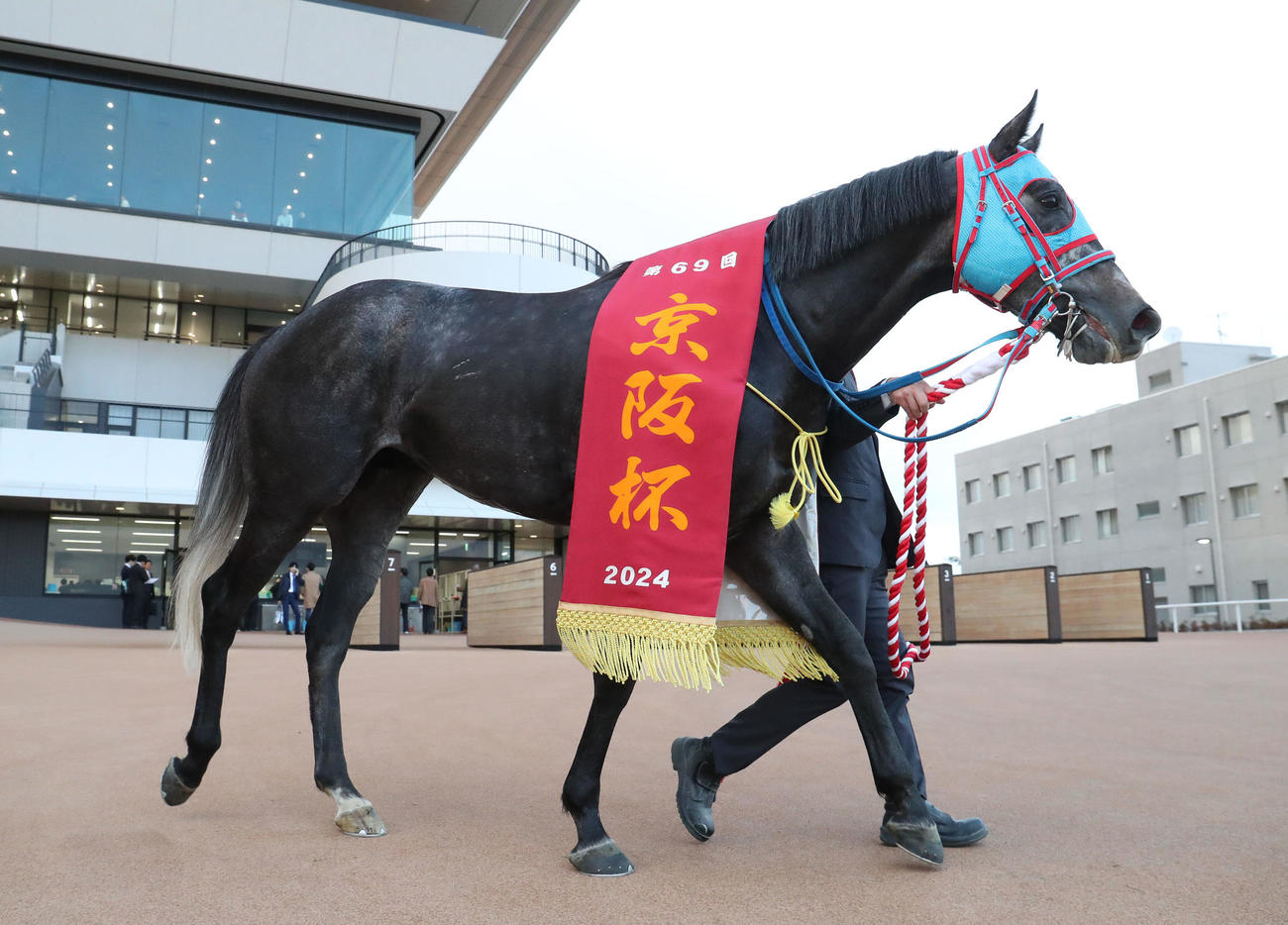 24年11月、京阪杯を制したビッグシーザー