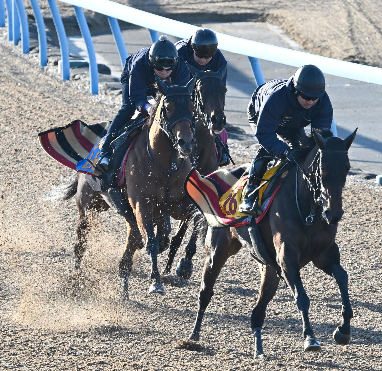 3頭併せて追い切るコスタノヴァ（左）（撮影・千葉一成）