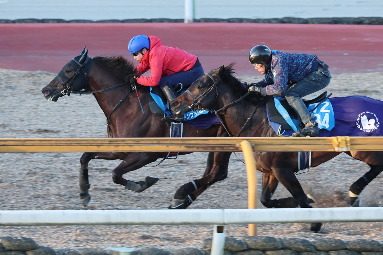 ドンフランキー（左）は池添騎手とCウッドで、セッションと併せて追い切る