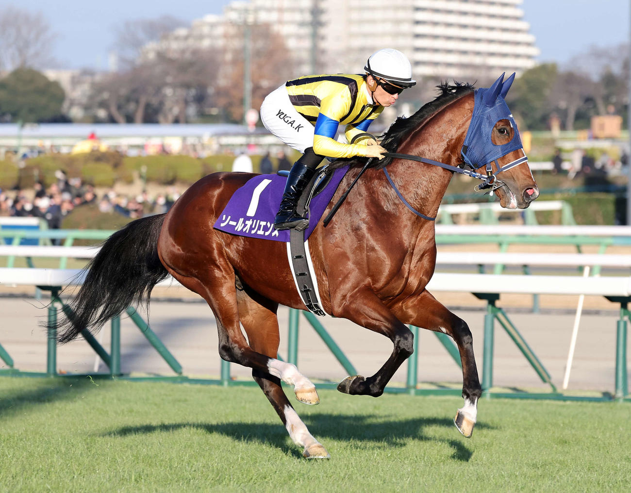 有馬記念に出走したソールオリエンスと川田将雅騎手（2023年12月24日撮影）