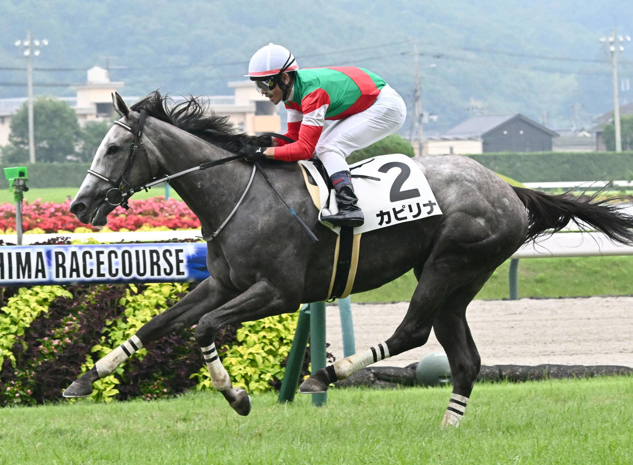 24年7月13日、福島12Rで勝ったカピリナと戸崎騎手