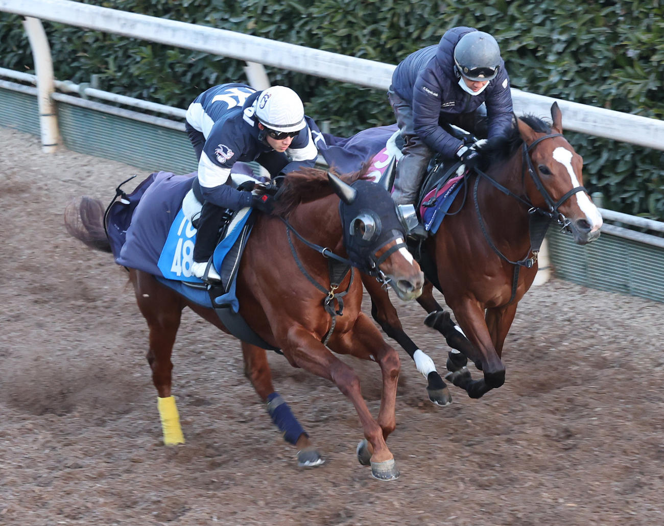 29日、藤岡佑騎手を背にサンライズフレイム（左）は坂路を併せ馬で追い切られた