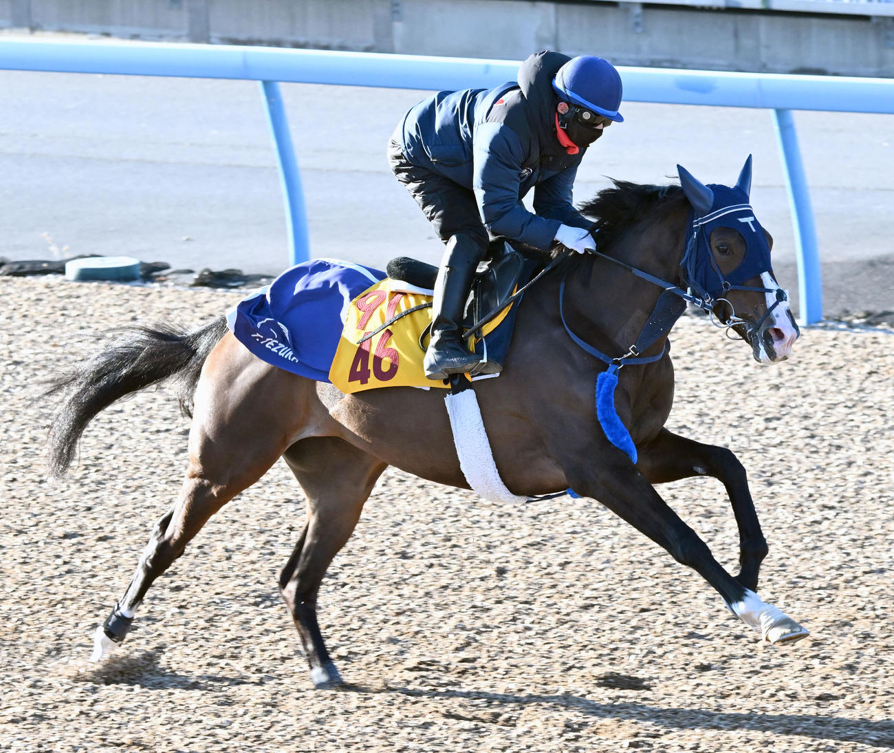 美浦ウッドを単走で追い切るボンドガール（撮影・千葉一成）