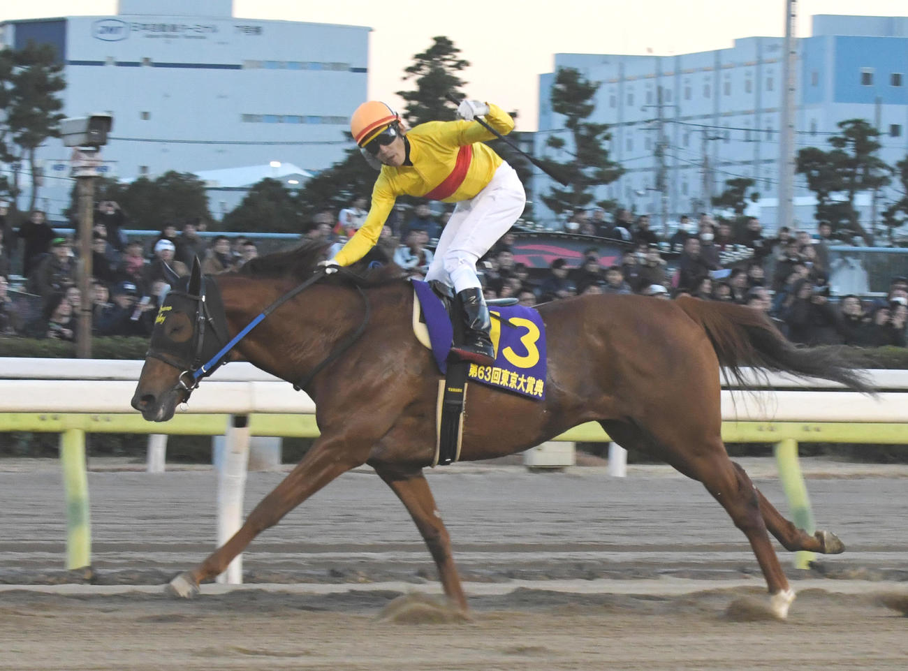 父のコパノリッキー、ラストランの17年東京大賞典を馬体重539キロで逃げ切った