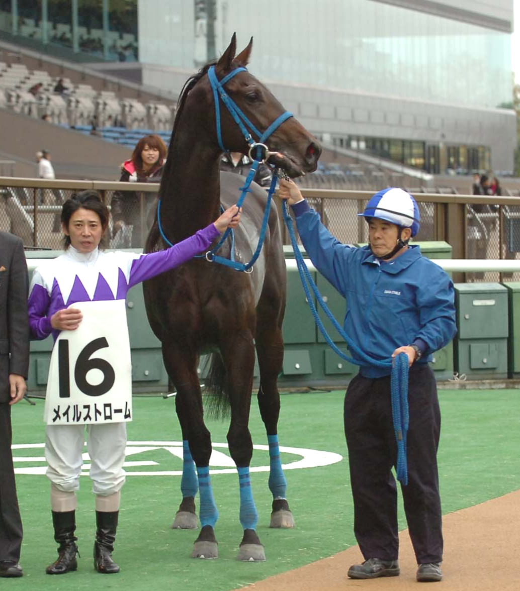09年11月、馬体重520キロで未勝利戦を勝ち上がった母メイルストローム