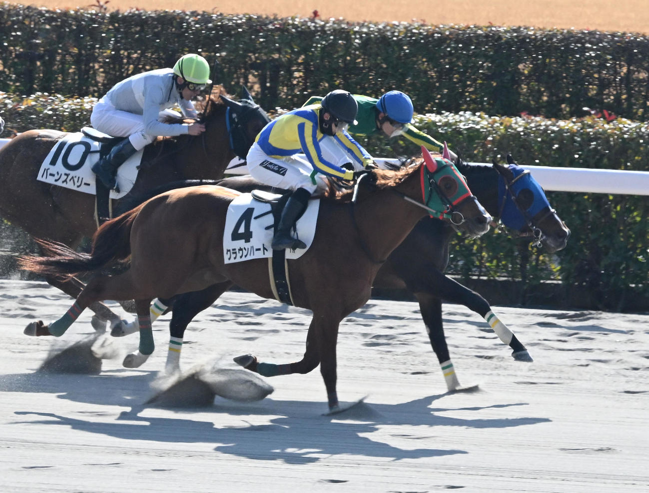 東京1R、3歳未勝利を制したサトノシャムロックと原騎手（右奥）（撮影・千葉一成）