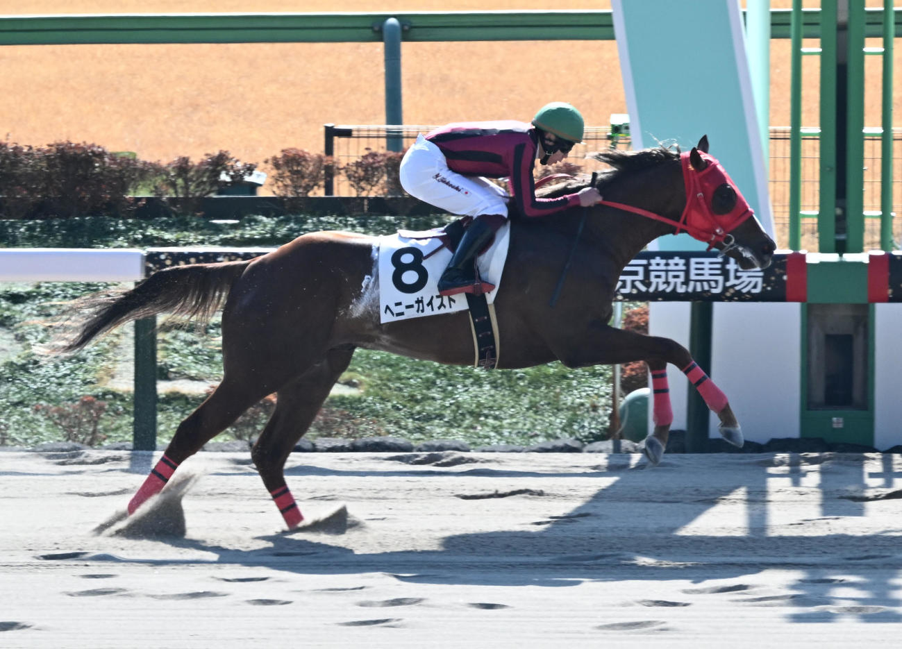 東京4R、3歳1勝クラスを制したヘニーガイストと横山武騎手（撮影・千葉一成）