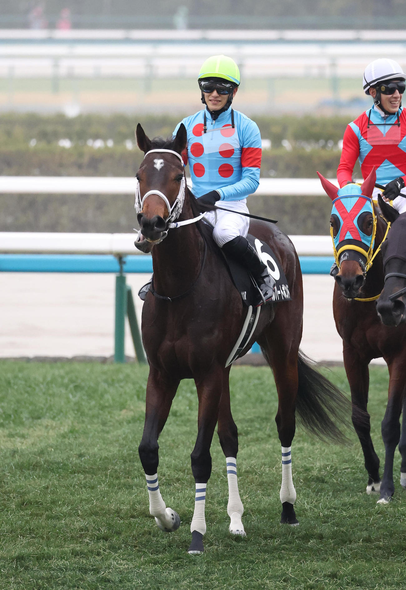 京都11R、無傷の4連勝で舞鶴Sを制したダブルハートボンド（撮影・白石智彦）