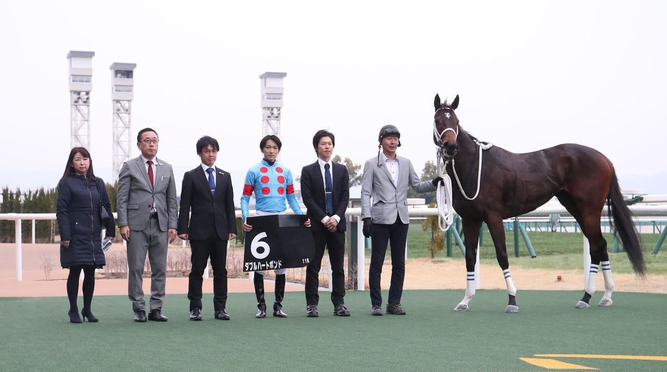 京都11R、無傷の4連勝で舞鶴Sを制したダブルハートボンドと口取りに並ぶ坂井騎手（右から3人目）（撮影・白石智彦）