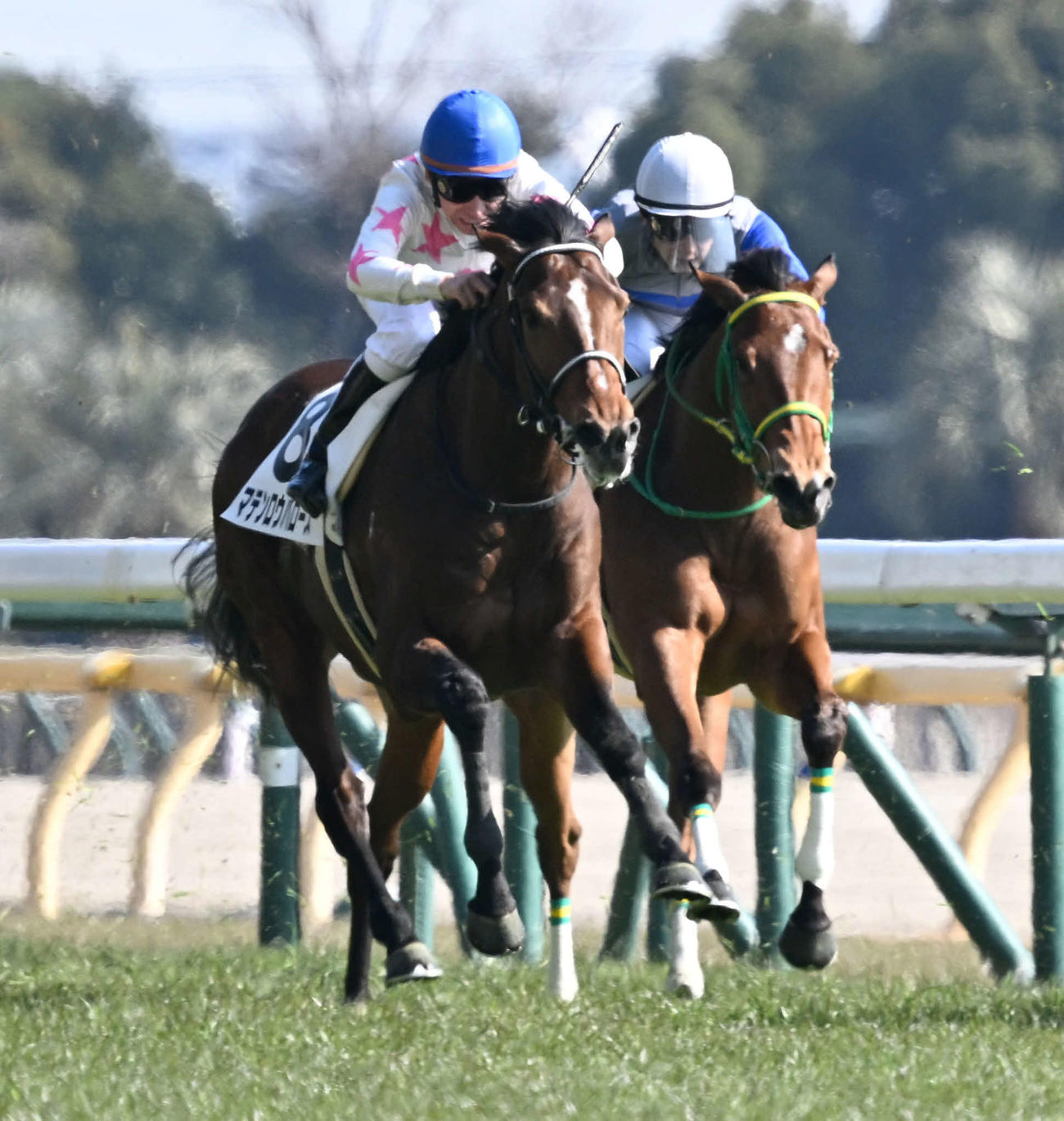 東京5R、3歳新馬戦を制したマテンロウバローズと横山典騎手（左）（撮影・千葉一成）