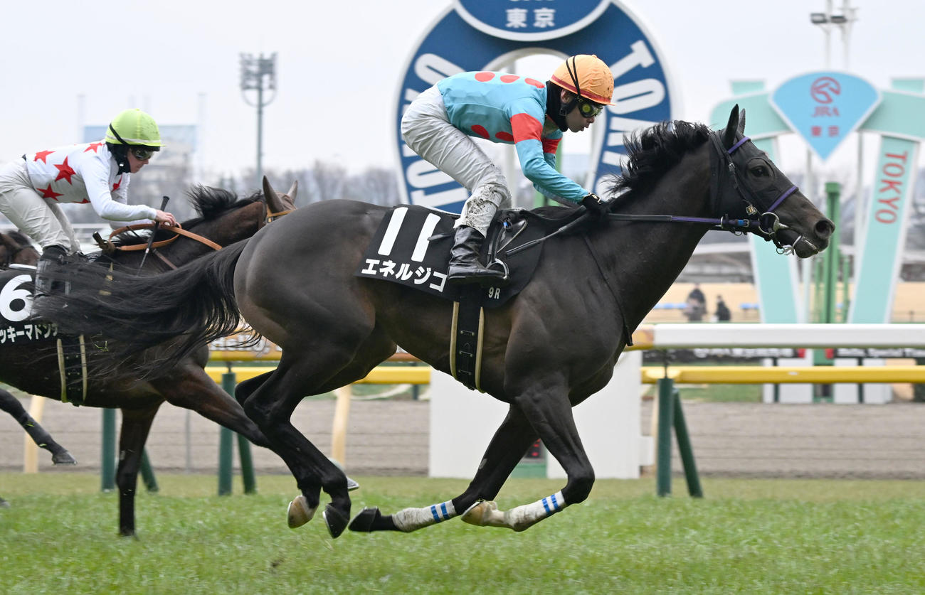 セントポーリア賞を制したエネルジコと池添騎手（撮影・千葉一成）