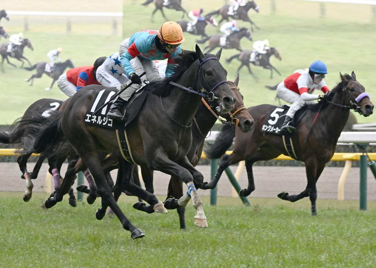 セントポーリア賞を制したエネルジコと池添騎手（左手前）（撮影・千葉一成）