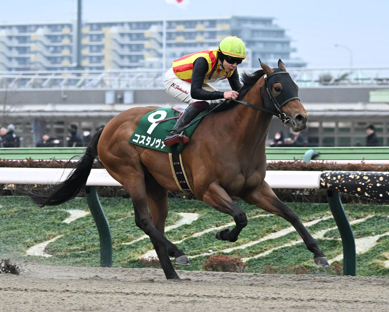 根岸Sを制したコスタノヴァと横山武騎手（撮影・千葉一成）