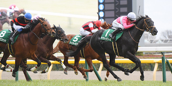 東京新聞杯を制したサクラトゥジュール（右）、2着ウインカーネリアン（中央）、3着ホウオウビスケッツ（左）（撮影・柴田隆二）＝2024年2月4日、東京競馬場