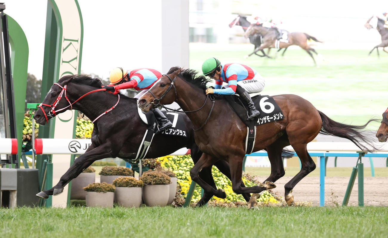 直線抜け出して八坂Sを制したリビアングラス（左）（撮影・白石智彦）