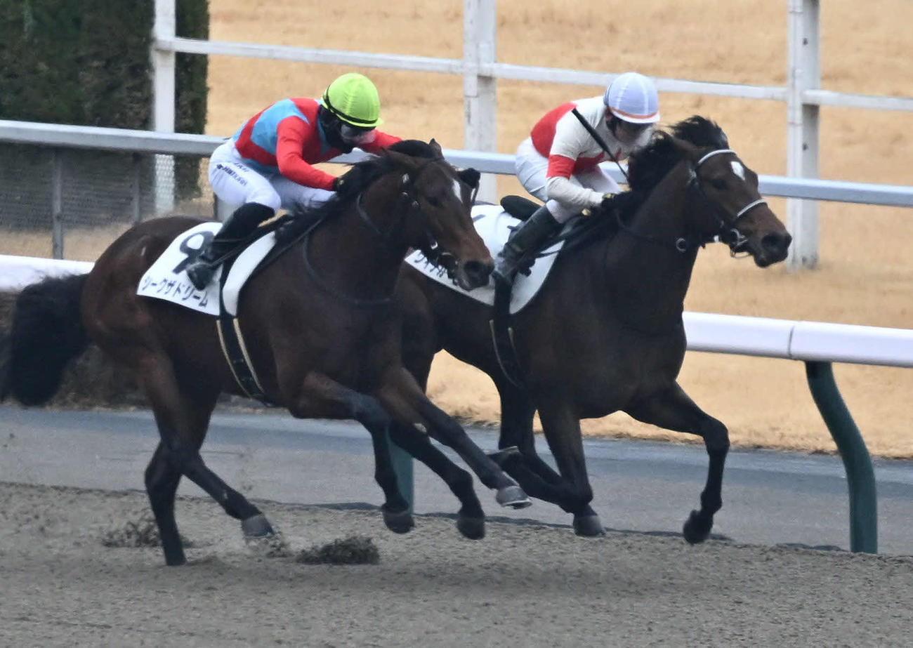 東京4R、3歳新馬戦を制したウィテカービートと横山典騎手（右）（撮影・千葉一成）