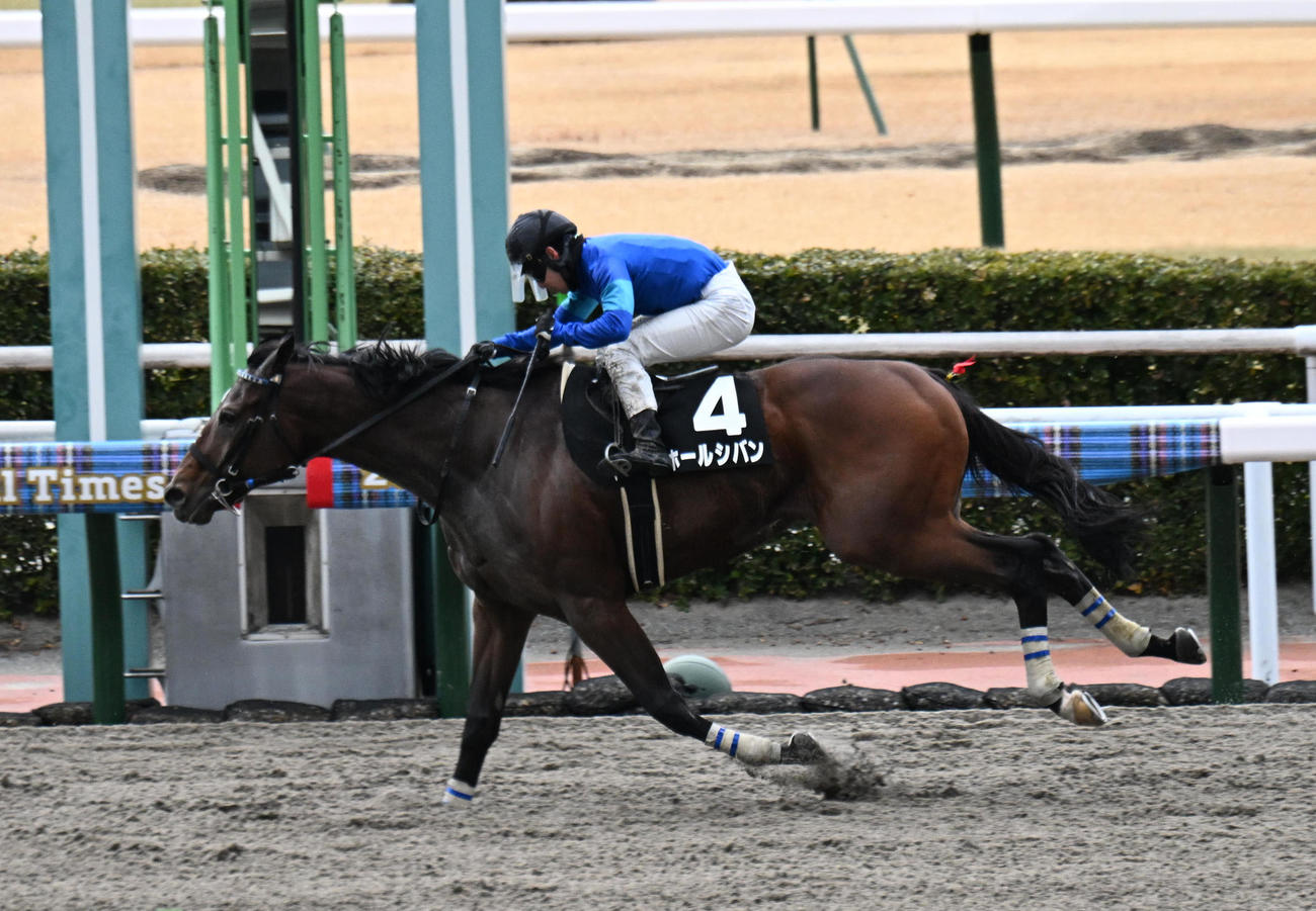 小倉11R　ゴール前で抜けだし門司Sを制したホールシバン（撮影・和賀正仁）