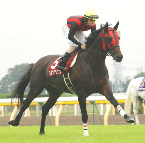 エイシンプレストンが死去、28歳 朝日杯3歳Sや香港マイルなどG1・4