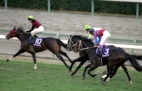 福永師がエイシンプレストンを悼む 「香港では別馬のようにワンランク
