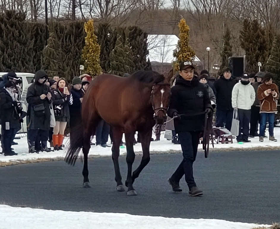 社台SSの種牡馬展示会にトップバッターで登場したドウデュース