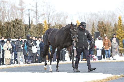 お披露目されたシャフリヤール(撮影・奥村晶治)