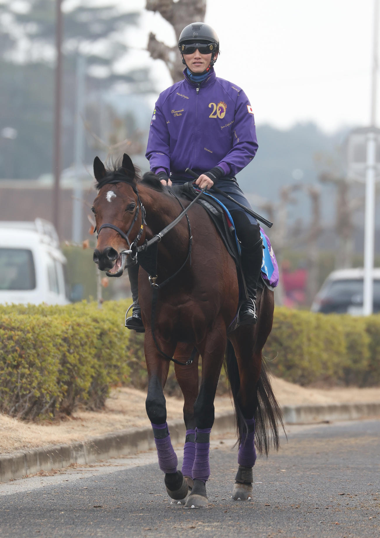 調教を終え引き揚げるサトノグランツ（2025年1月15日撮影）

