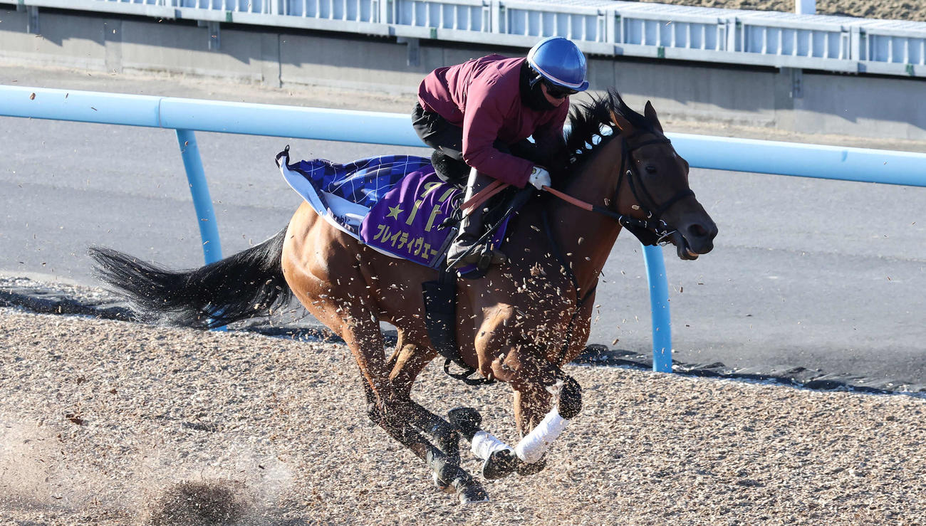 ブレイディヴェーグは杉原騎手を背にウッドチップを巻き上げて先行する僚馬を追い上げた（撮影・丹羽敏通）